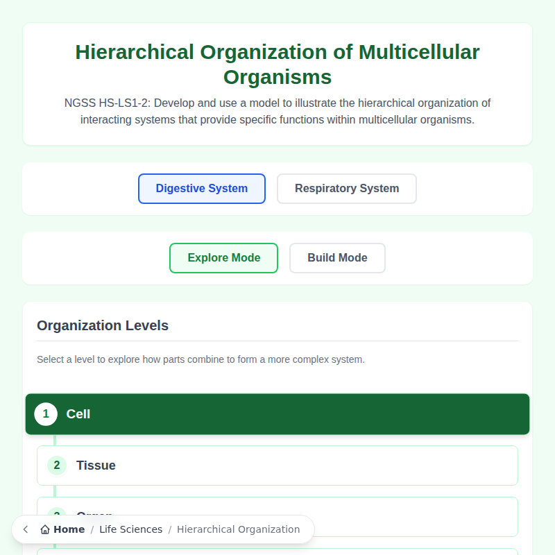 Hierarchical Organization of Interacting Systems